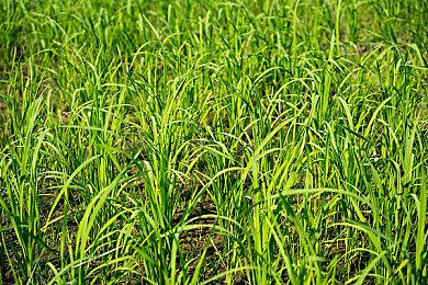 经典科幻角色机械战警现已加入《堡垒之夜》